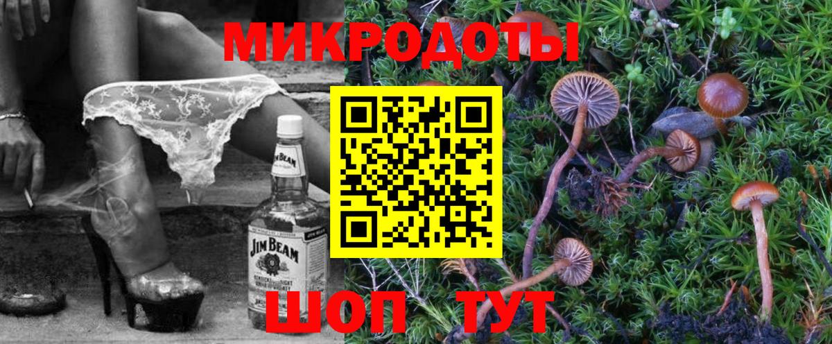 Галлюциногенные грибы Magic Shrooms  Вход с VPN  Татарск 