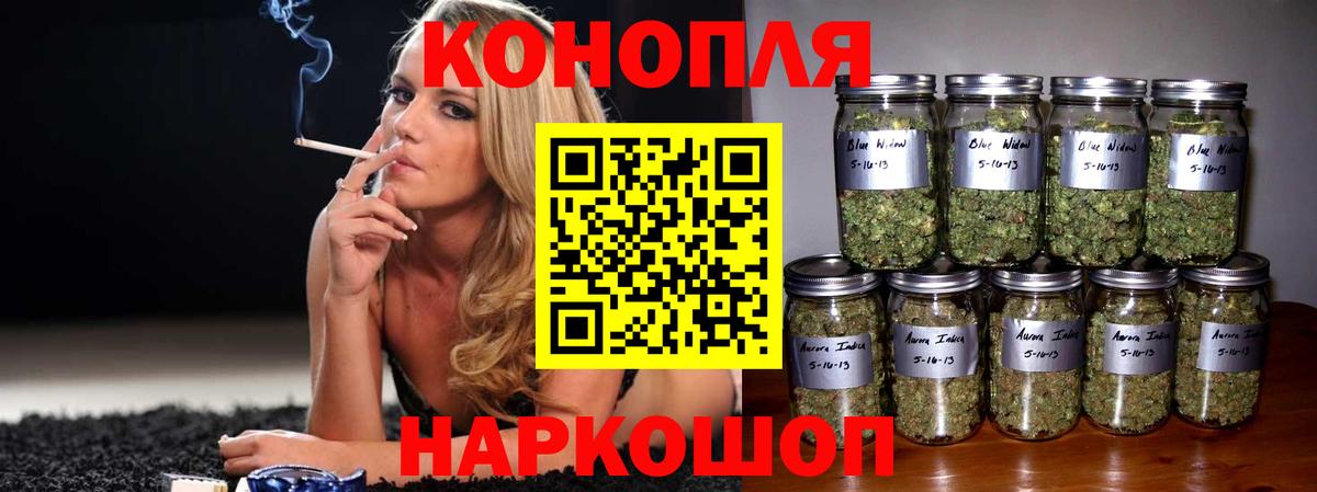 Конопля план Татарск